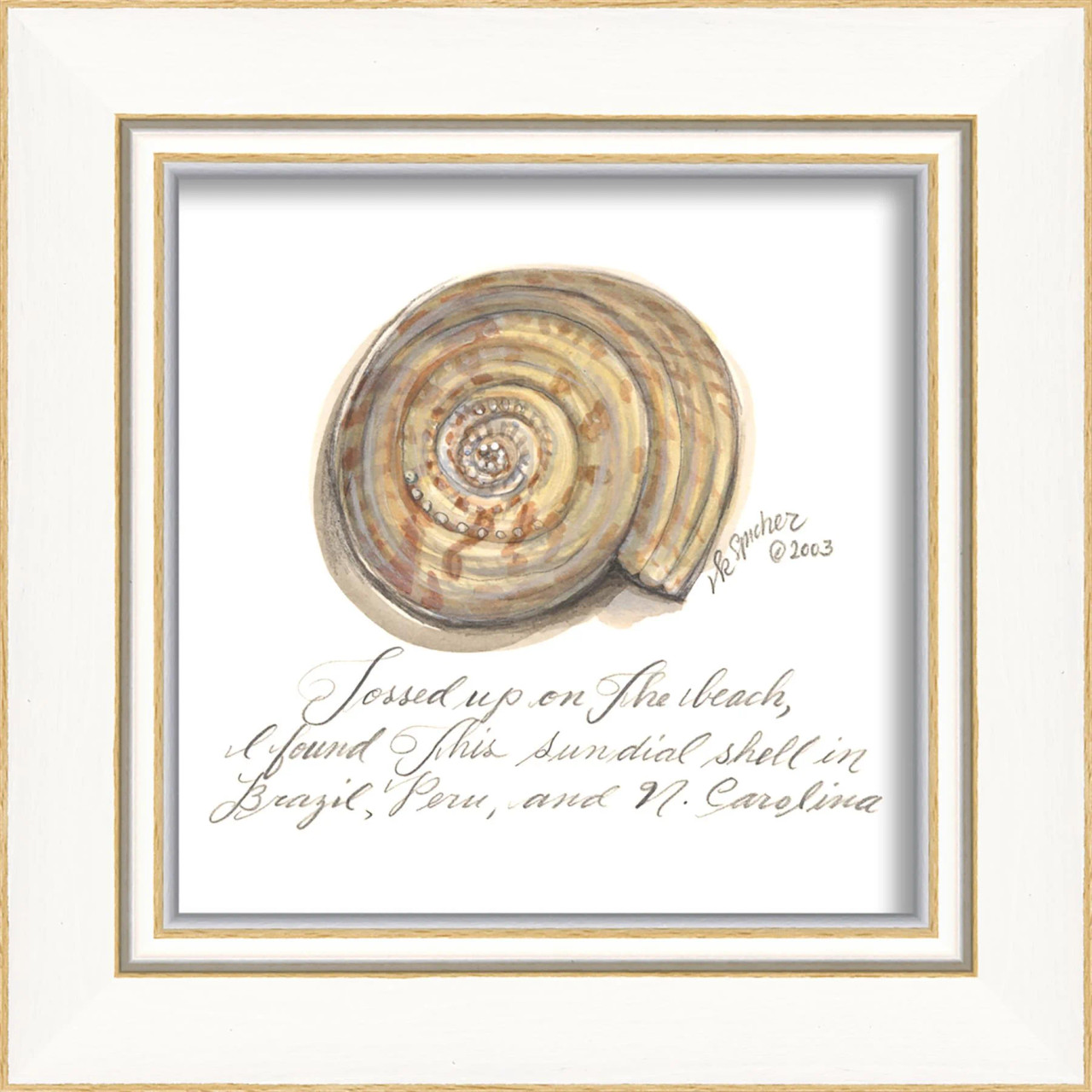 Image of Kolene Spicher Sundial Shell Cottage Art