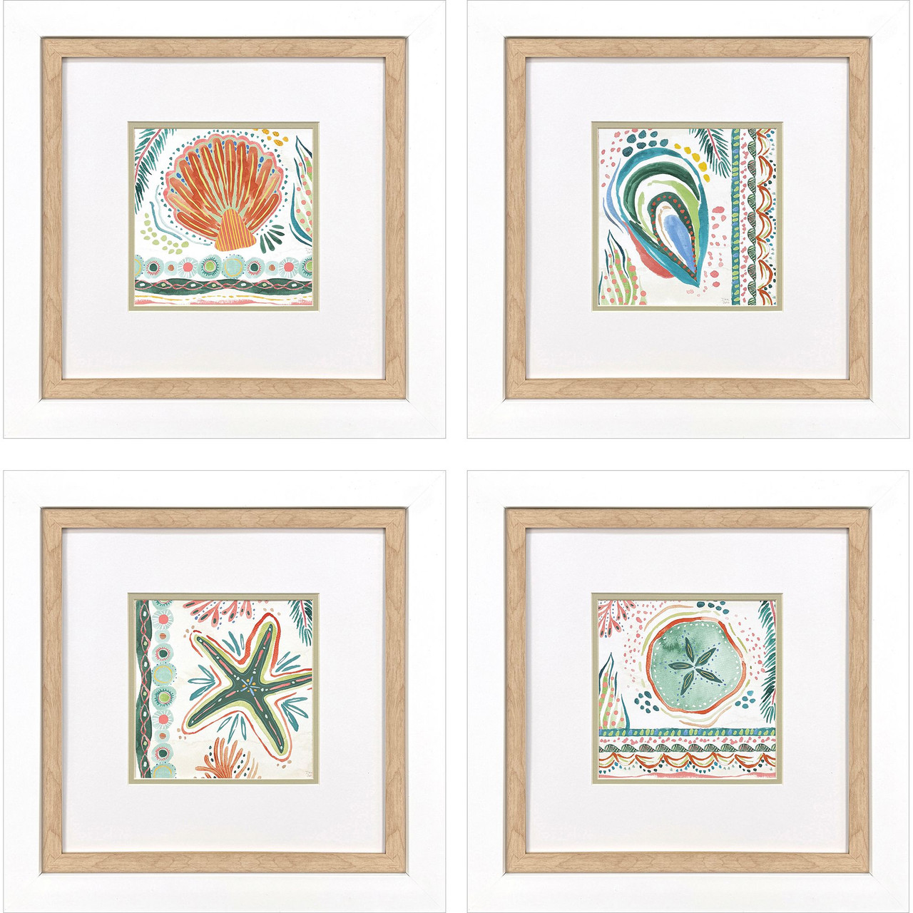Image of Colorful Coastline Shells - Set of Four Framed Prints