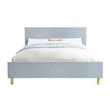 ACME Gaines Eastern King Bed, Gray High Gloss Finish