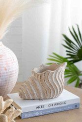 9x5.5x5.7" Sand and Cement Conch Shell Planter with Textured Beige Finish