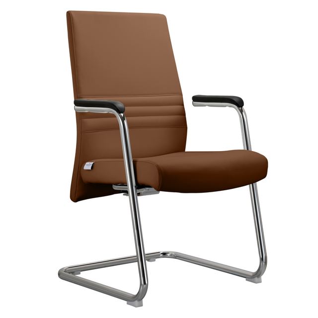 Aleen Series Guest Office Chair In Dark Brown Leather