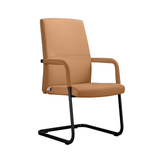 Evander Office Guest Chair in Acorn Brown Leather