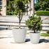 2-Piece Tapered Round Plastic Planters Set, Pearl White
