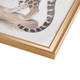 Cheetah Framed Wall Art 2 Piece Set Graphic Wall Decor