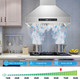 30 Inch Range Hood, Wall Mount Kitchen Hood 900 CFM Ducted/Ductless Convertible with Gesture Sensing & Touch Control