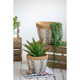 Set of 2 White and Brown Cement Planters with V Pattern