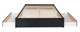 King Select 4-Post Platform Bed with 2 Drawers, Black