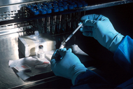 Your Cell Cultures Have a CO2 Problem. CO2 Adsorbers Are the Fix.