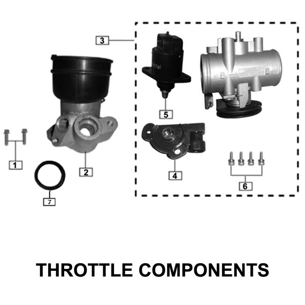 THROTTLE BODY COMPONENTS