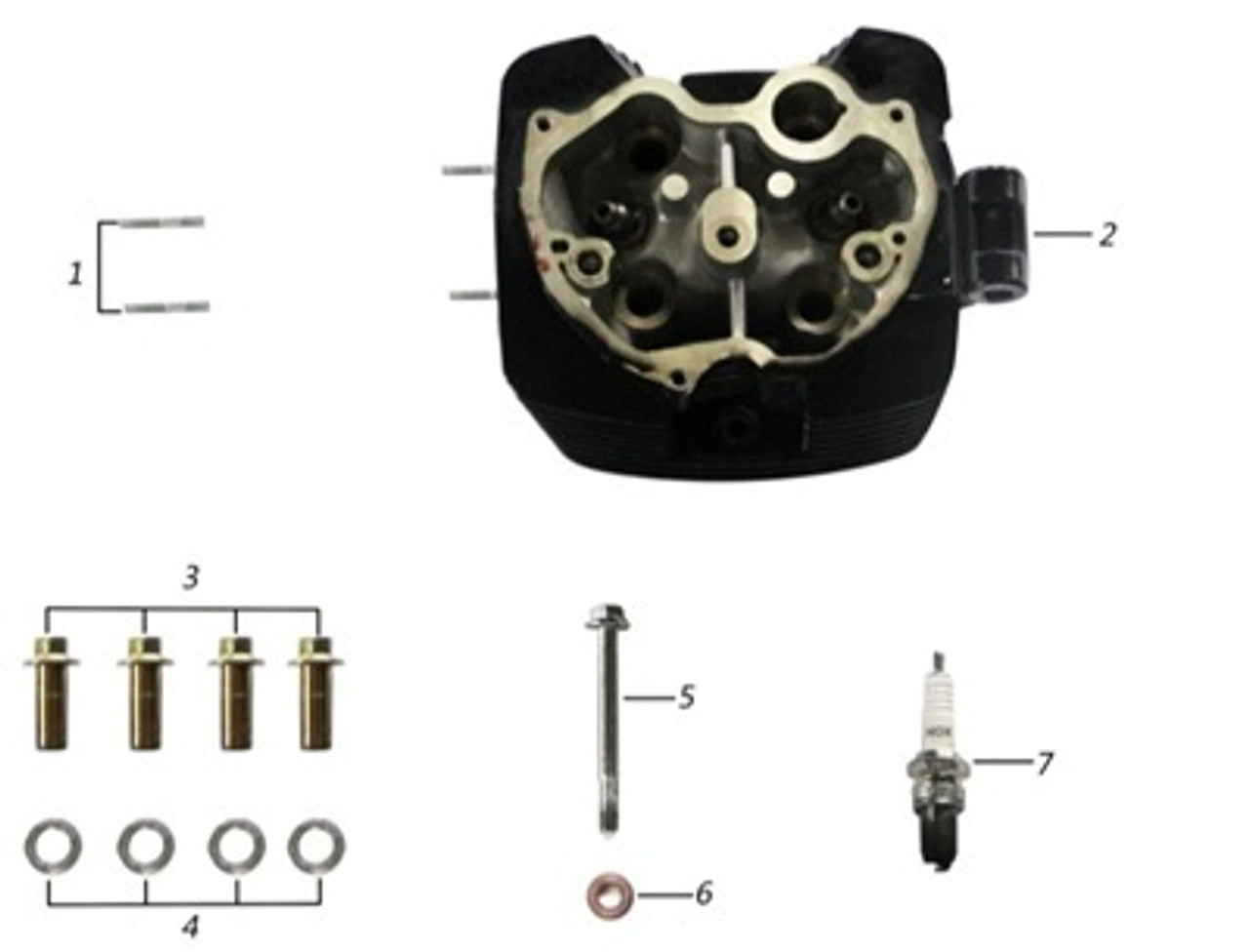 Cylinder Head Assembly