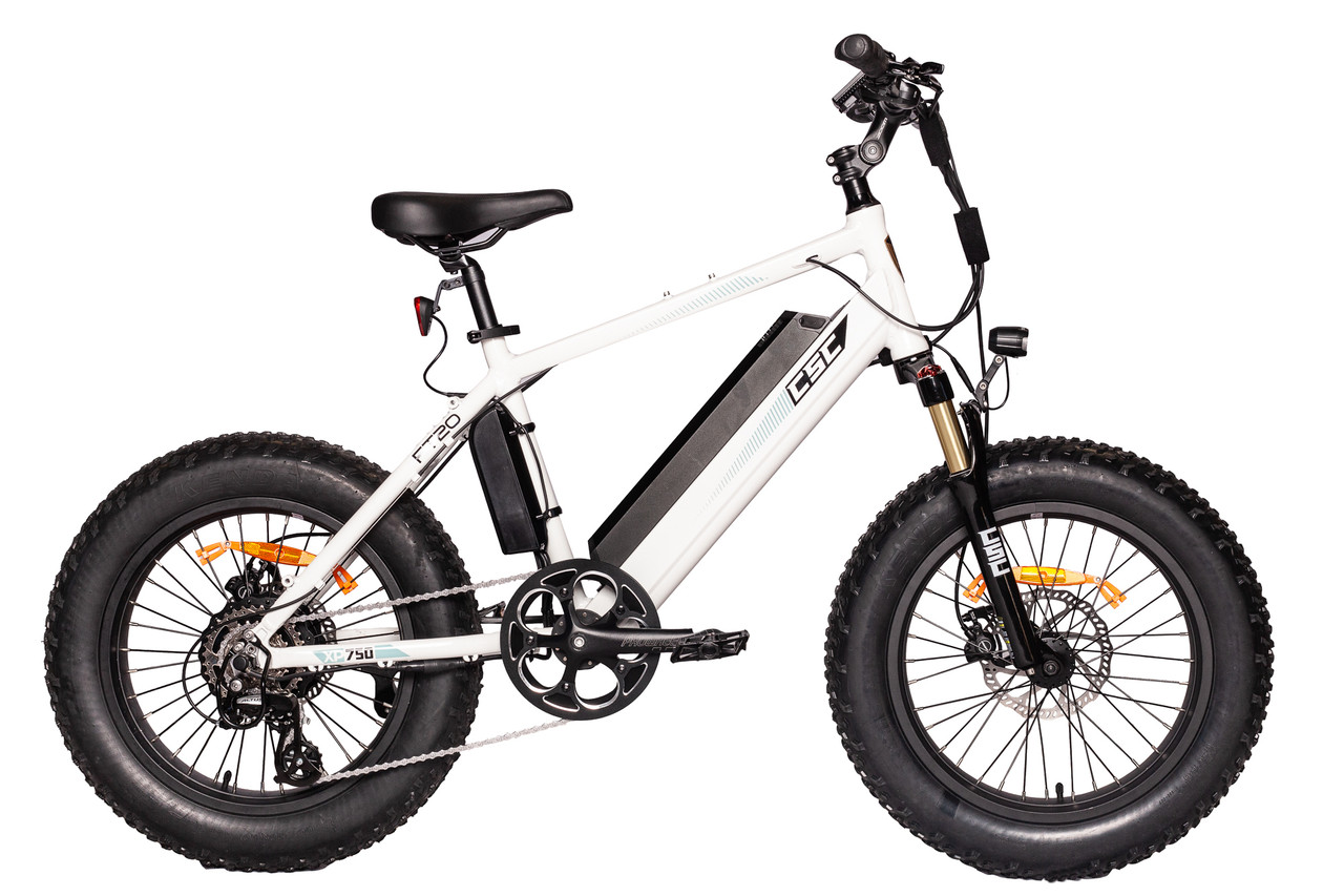 XP750-20 750W Electric Bicycle with 20/