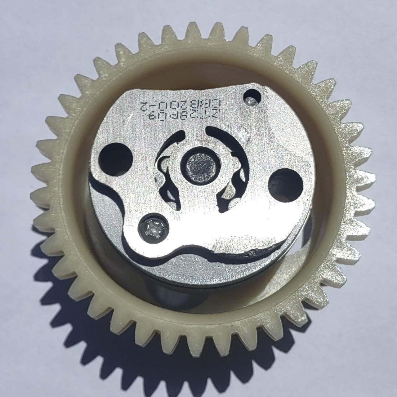 Oil Pump Assembly for SG250 and TT250 | CSC Motorcycles | Shop Online
