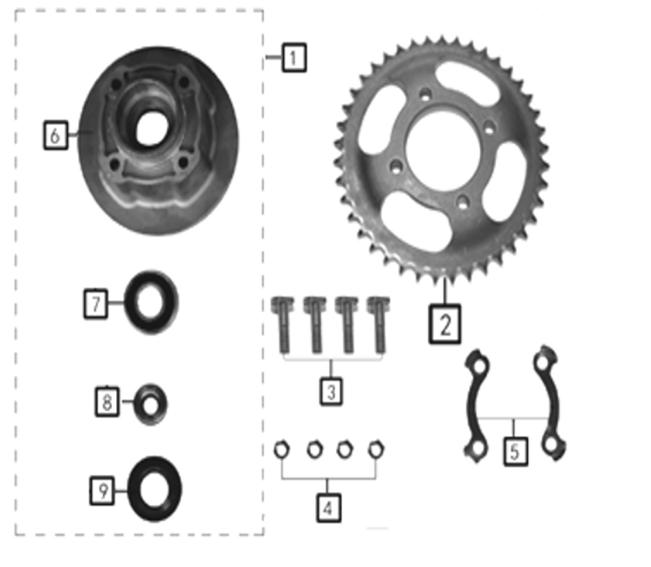 Rear Hub & Sprocket