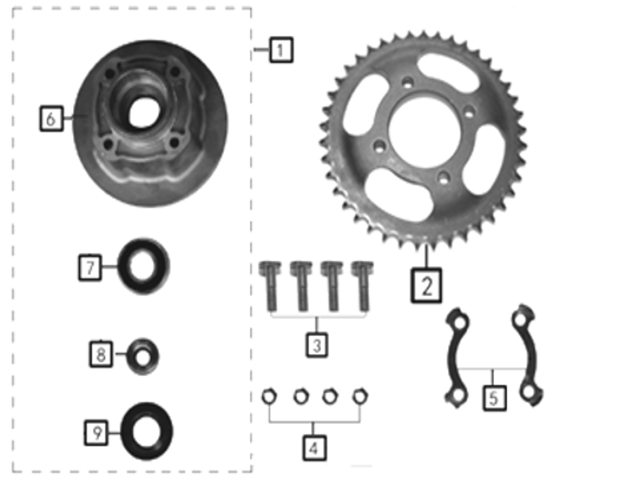 Rear Sprocket & Hub