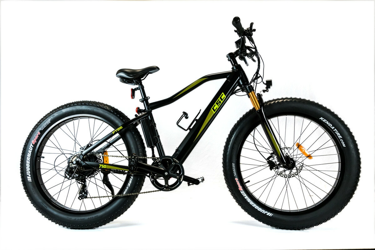 Stock Replacement Parts EBike Stock Replacement Parts FT750 and FT750XP Models GEN1 and