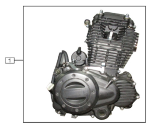 TT250 Engine Parts Diagram.