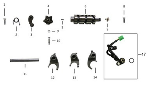 TT250 Shifting Drum Parts Diagram.