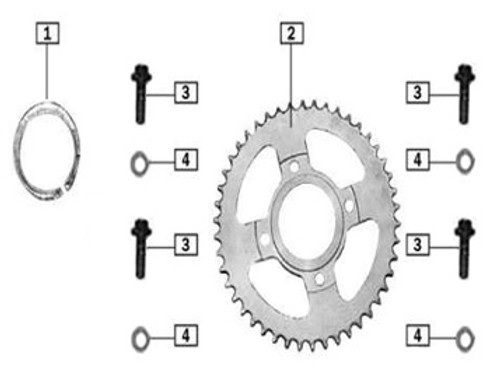 ZT24-101-06431 Sprocket -  50 teeth/428 -  dish-shaped flat plate) 2016-UP TT250