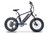 XP750-20 BMX Bar Fat Tire E-Bike W/ 20" Wheels