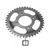 41 Tooth Sprocket for SG250