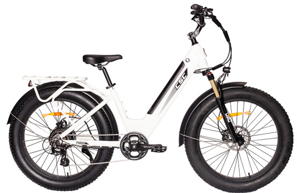 FT750ST Step Through Electric Bicycle - Gloss White