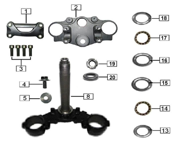 Lower Triple Tree for SG250 2019-Up