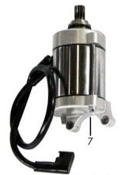 Starter Motor for SG250 and TT250