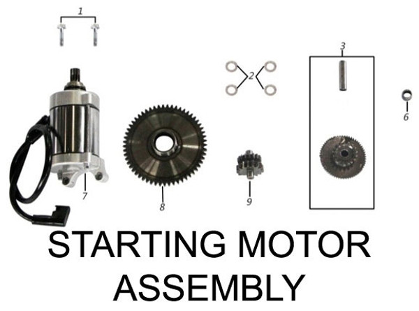 STARTING MOTOR ASSY