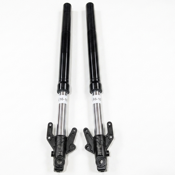 RX1E Front Fork Assembly (Pair)