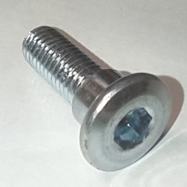 Rotor Bolt, Screw M8x25 for RX4