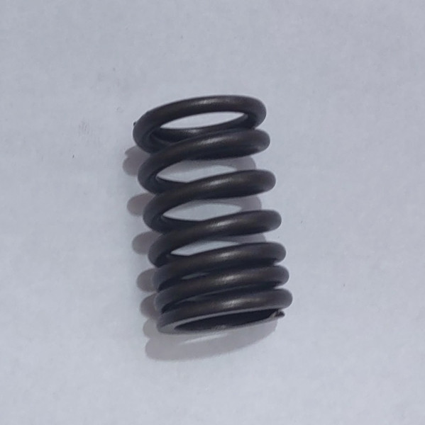 Valve Outer Spring for SG250, TT250