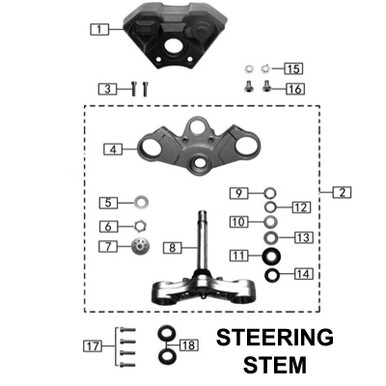 OEM Replacement Part for RC3 Triple Tree assembly - CSC Motorcycles