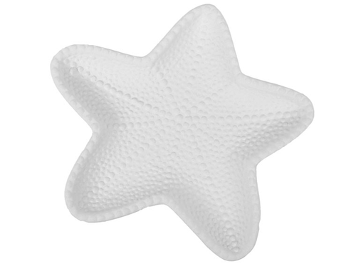 Little Starfish Dish/12| ceramicarts.com