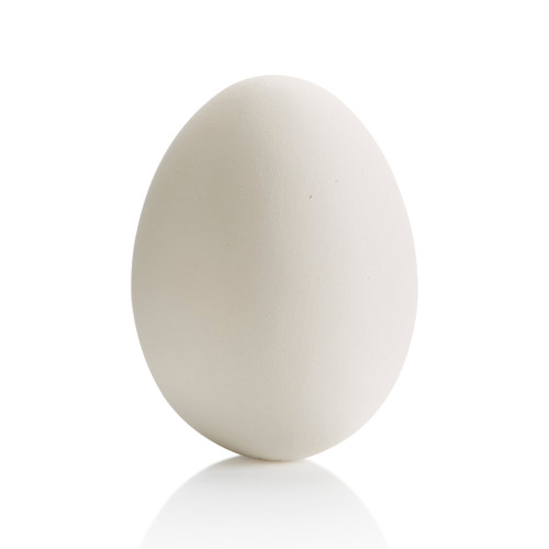 Large Egg/8 SPO