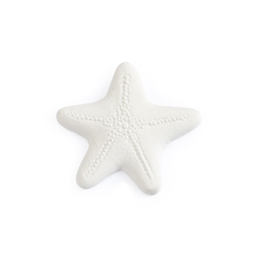 Starfish Bisquie/12 SPO | ceramicarts.com