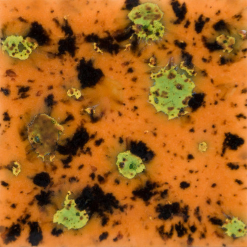 Oriental Carmel - Pint | ceramicarts.com