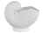 Nautilus Shell Container | ceramicarts.com