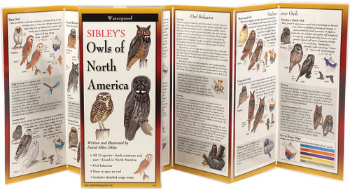 SIBLEY'S OWLS OF NORTH AMERICA