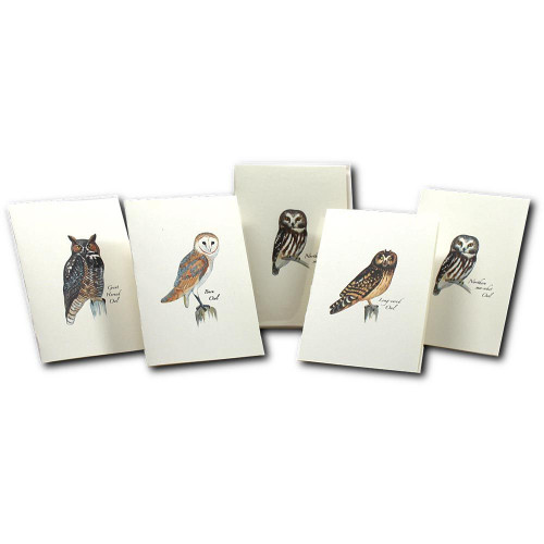 OWL NOTECARDS