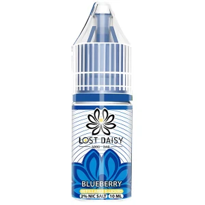 Blueberry Nic Salt E Liquid 10ml by Lost Daisy