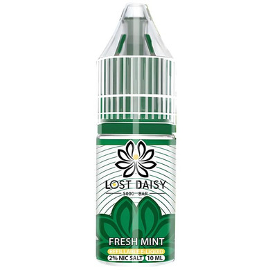 Fresh Mint Nic Salt E Liquid 10ml by Lost Daisy