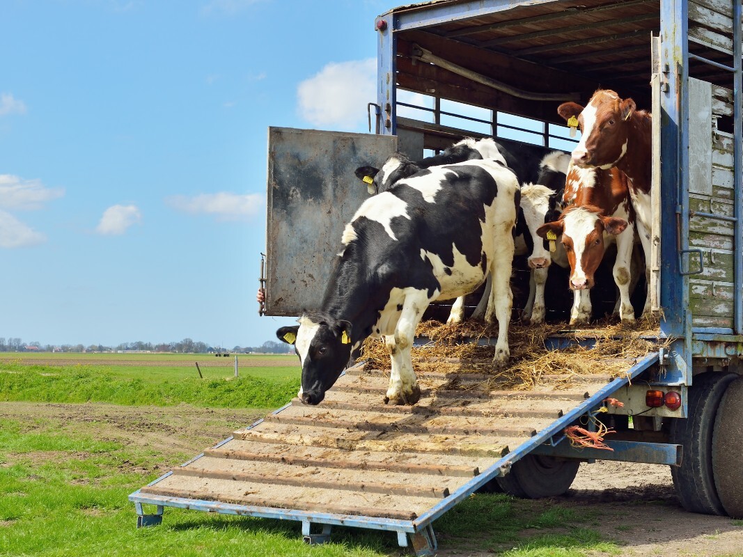 GPS Tracking to protect your assets