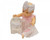 Nursery Times 0723 Baby Girls Bow Headbands 2 Pack - White + Ivory