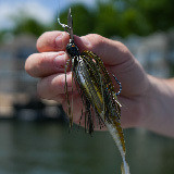 Baits