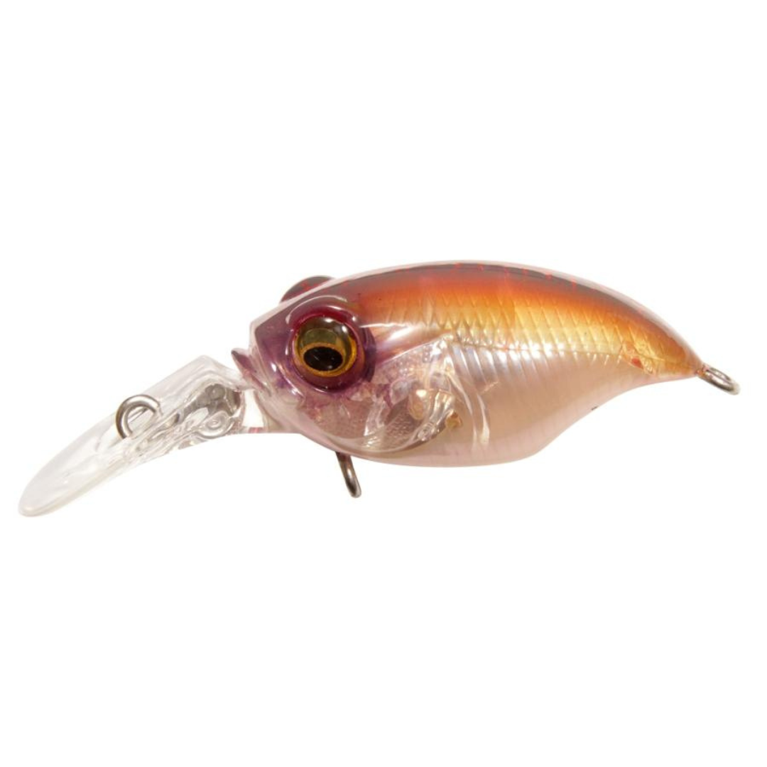 BFS Fishing Gear & Tackle | Bait Finesse System Lures, Rods & Reels ...
