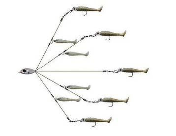 Umbrella Rigs