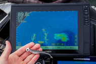 THE IMPACT OF FORWARD-FACING SONAR ON FISHING TACKLE AND ANGLER BEHAVIOR