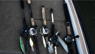 TACTICS FOR TARGETING POST-SPAWN BASS: TECHNIQUES AND TIPS FOR SUCCESS