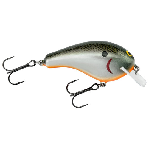 Bagley Balsa B1 - Bait-WrX