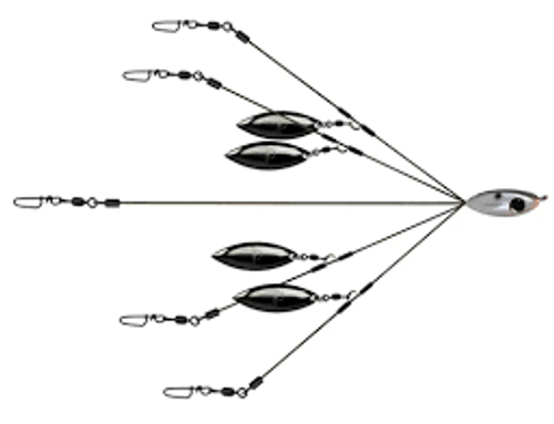 Picasso 8" School-E-Rig Picasso 8" School-E-Rig